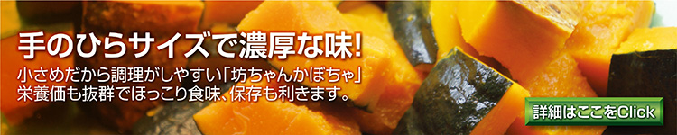 かぼちゃ直送販売「北海道産.com」