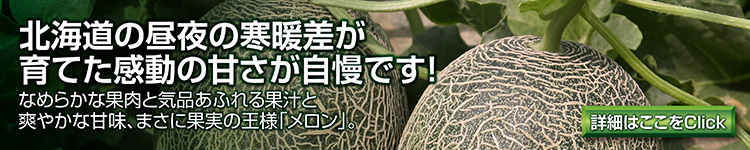 メロン直送販売「北海道産.com」